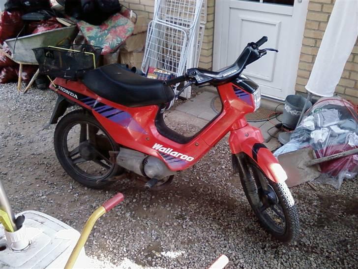 Honda wallaroo solgt billede 1