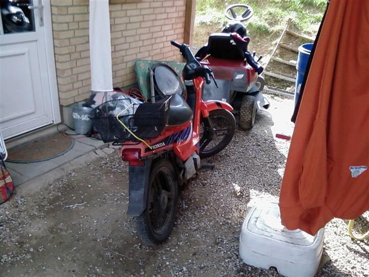 Honda wallaroo solgt billede 3