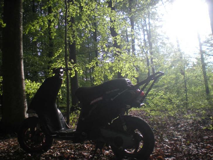 Piaggio Typhoon stuntbike billede 8