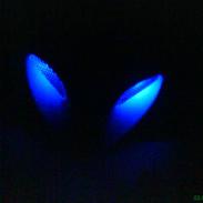 PGO pmx no fear
