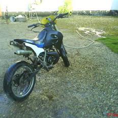 Suzuki (rmx) lc (dd.