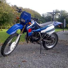 Suzuki RMX  tilsalg