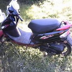 Giantco Sprint > SOLGT