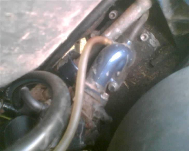 PGO #HOT 50/sr50-solgt billede 2