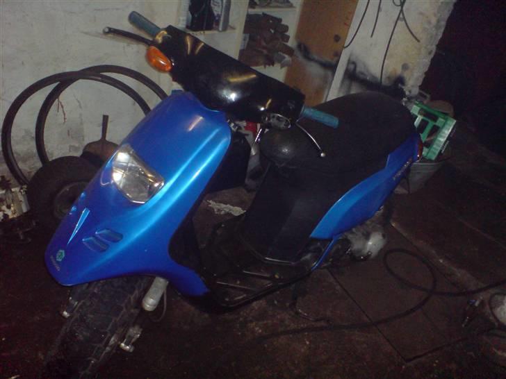 Piaggio Typhoon   *SOLGT* - Typhoon billede 1