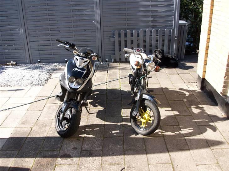 Suzuki fz 50 billede 4