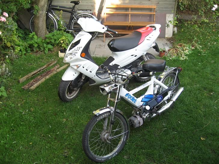 Puch maxi k billede 12