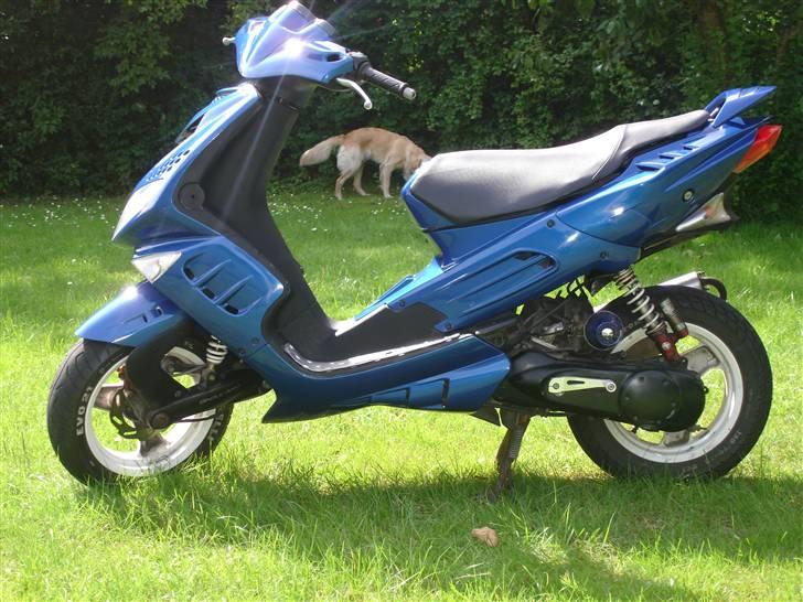 Peugeot speedfight 2 WRC  Solgt  billede 7