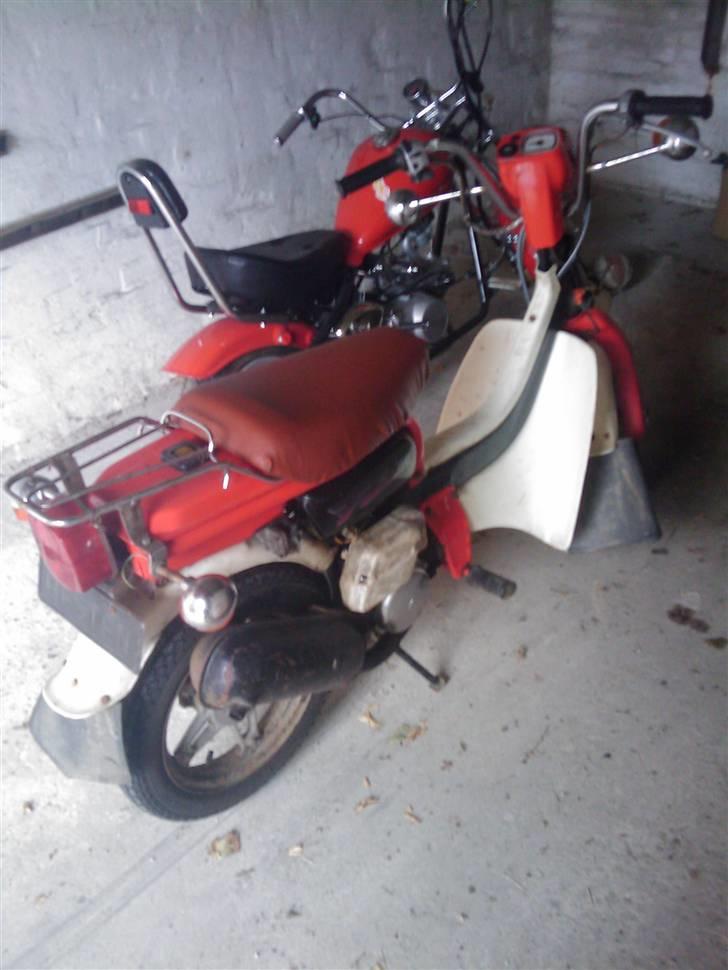 Suzuki Fz50 billede 1