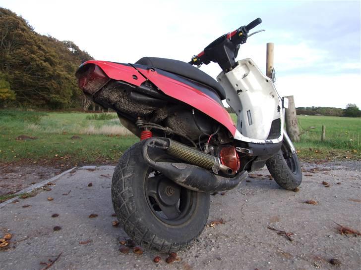 PGO Hot 50 billede 1