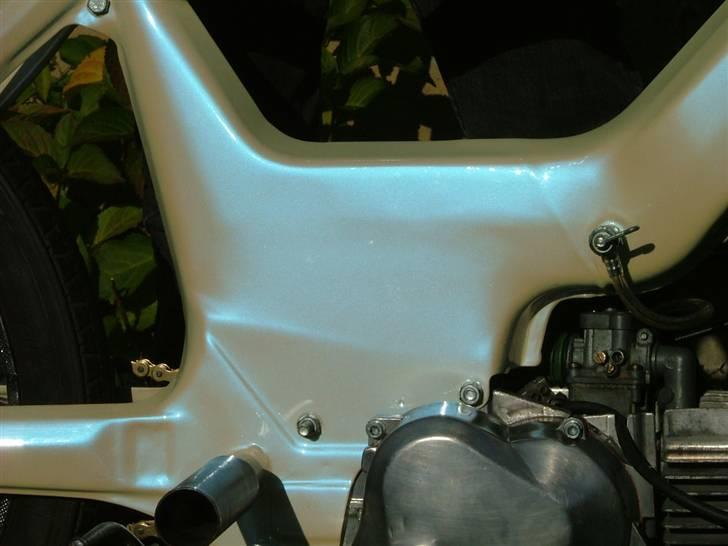 Puch perlemor  billede 1