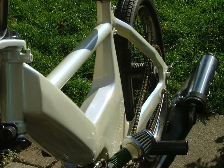 Puch perlemor  billede 2