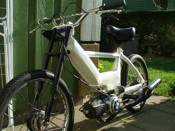 Puch perlemor  billede 3