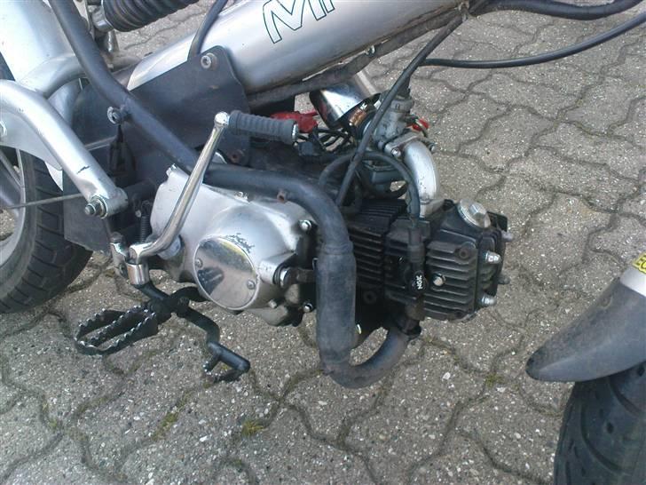 Sachs madaas SOLGT billede 4