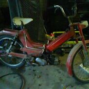 Puch Maxi KL "MarkRæseren" :b