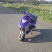 Adly Gazelle * SOLGT*