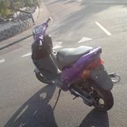 Adly Gazelle * SOLGT*