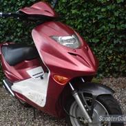 Adly Gazelle * SOLGT*