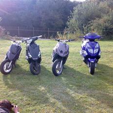 PGO dr.big byttede til bws