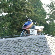 Aprilia sonic luxuz byttet