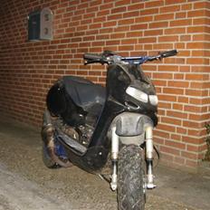 Aprilia Rally  *VIOLA* EVO LC FØR