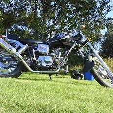 Regal Regal Raptor (solgt)