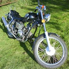 Regal Regal Raptor (solgt)