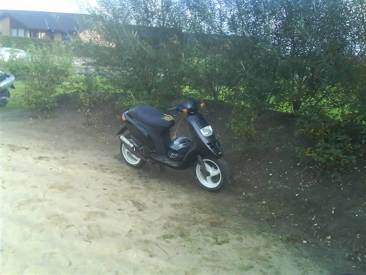 Piaggio typhoon billede 7