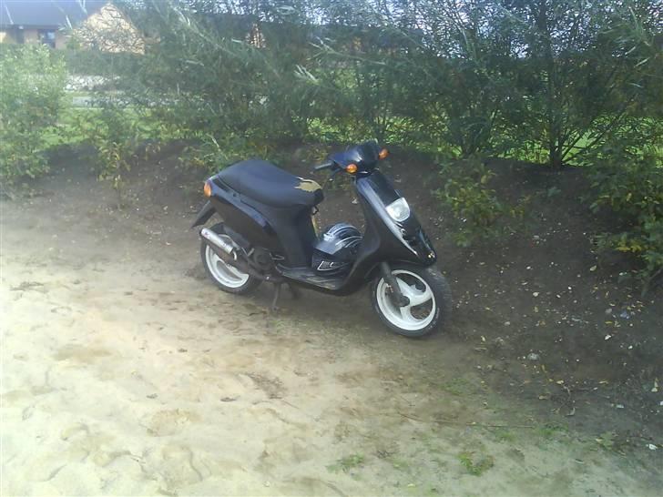 Piaggio typhoon billede 8