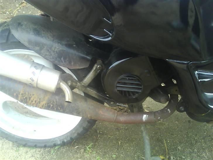 Piaggio typhoon billede 12