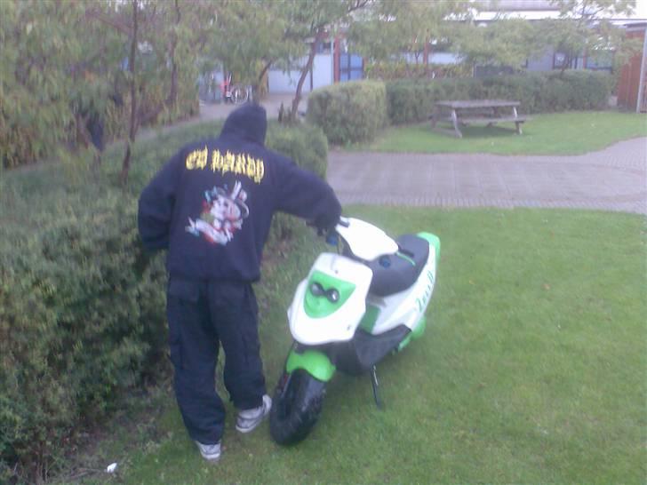 PGO Hot 50 Solgt billede 6