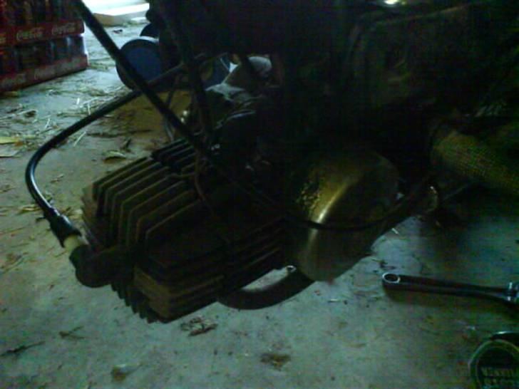 Puch Maxi KL "MarkRæseren" :b billede 7