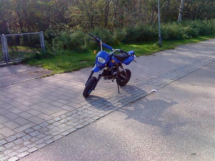 MiniBike mini mutard solgt billede 10