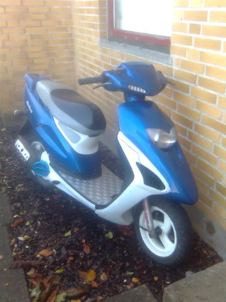 Honda Sfx Byttet til Sonic! billede 6
