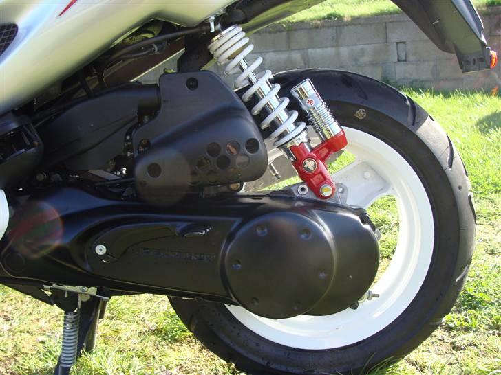 Peugeot Speedfight- R-Cup billede 7