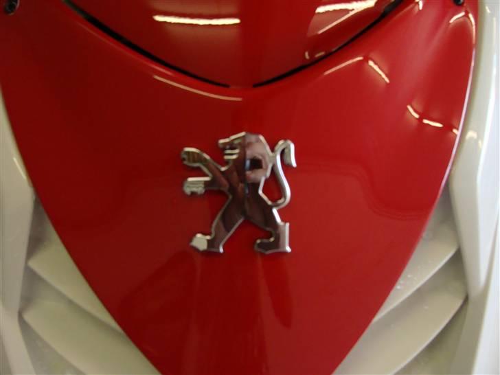 Peugeot Speedfight- R-Cup billede 8