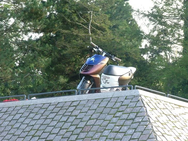 Aprilia sonic luxuz byttet billede 2