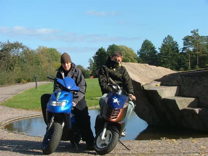 Aprilia sonic luxuz byttet billede 4