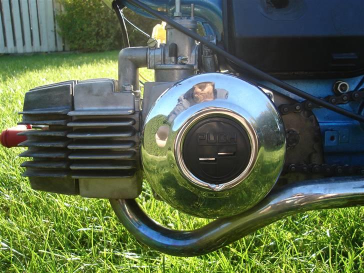 Puch Maxi [Solgt] billede 14