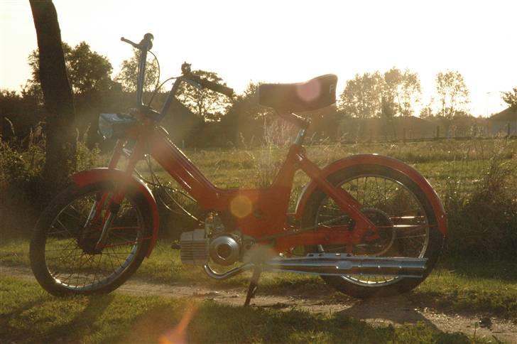 Puch maxi til salg #solgt# billede 1