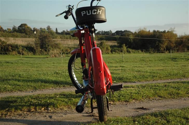 Puch maxi til salg #solgt# billede 4