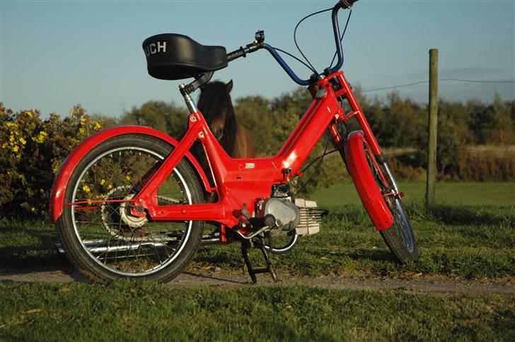 Puch maxi til salg #solgt# billede 6