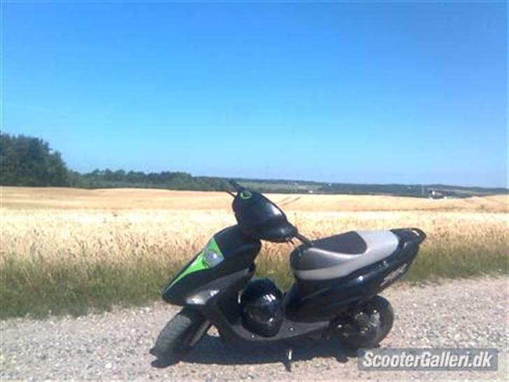 Honda SFX (SOLGT!!!) billede 1