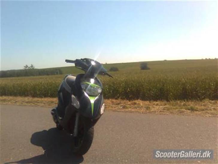 Honda SFX (SOLGT!!!) billede 2