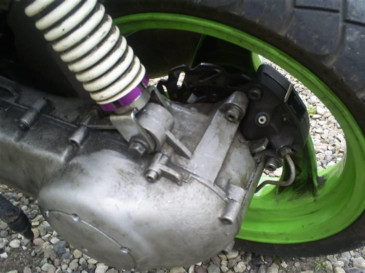 Piaggio nrg mc1 lc dd  - Malossi RS3 og Stage6 SSP Wave rustfri billede 11