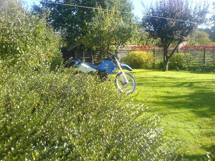 Suzuki Rmx [Byttet] billede 9