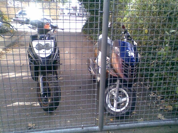 PGO hot50 soglt for 11 lapper billede 7