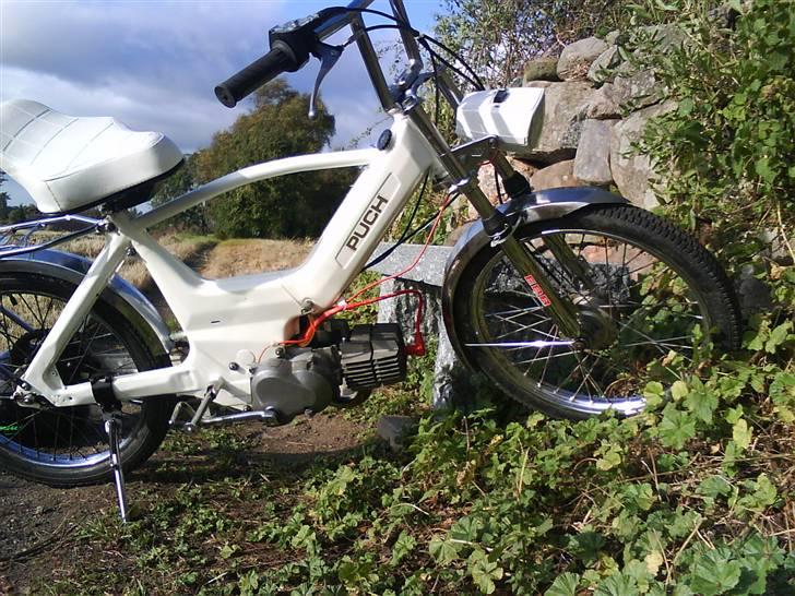 Puch Maxi Snehvide. E50 billede 4