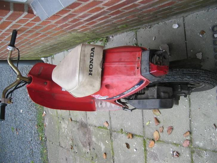 Honda Melody! SOLGT billede 5