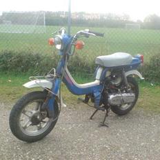 Suzuki FZ50 